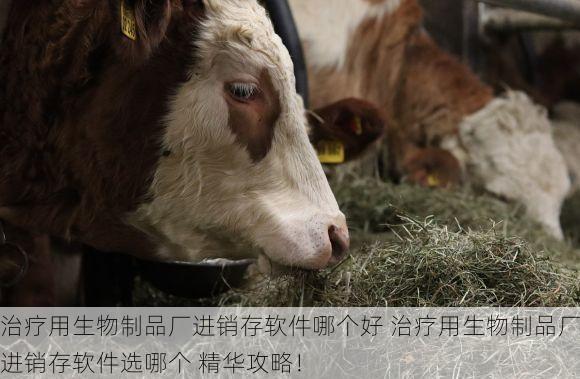 治疗用生物制品厂进销存软件哪个好 治疗用生物制品厂进销存软件选哪个 精华攻略！