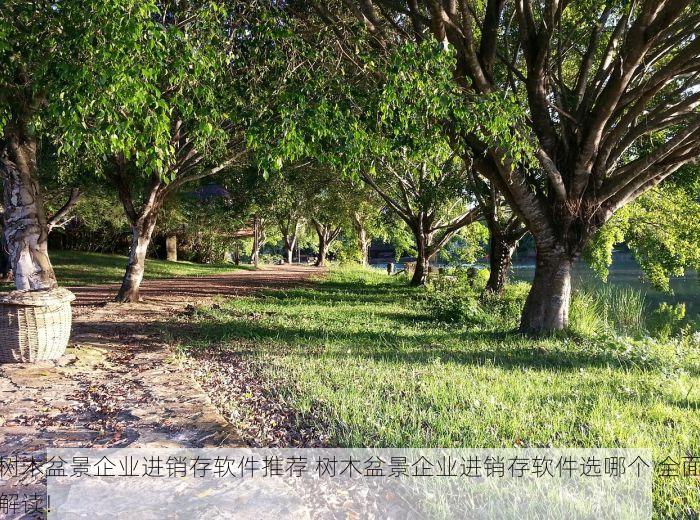 树木盆景企业进销存软件推荐 树木盆景企业进销存软件选哪个 全面解读!