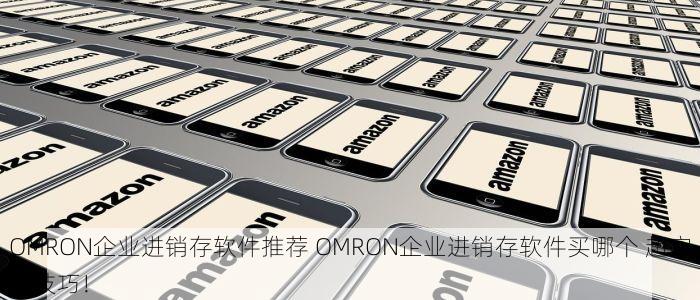 OMRON企业进销存软件推荐 OMRON企业进销存软件买哪个 超实用技巧！