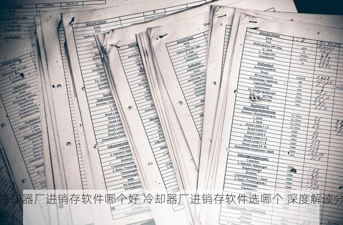 冷却器厂进销存软件哪个好 冷却器厂进销存软件选哪个 深度解读分析！