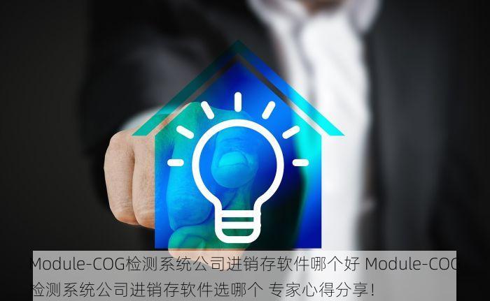 Module-COG检测系统公司进销存软件哪个好 Module-COG检测系统公司进销存软件选哪个 专家心得分享！