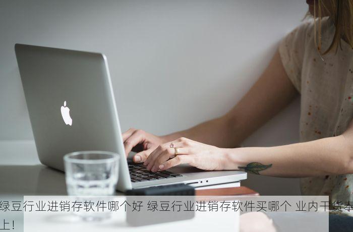 绿豆行业进销存软件哪个好 绿豆行业进销存软件买哪个 业内干货奉上！