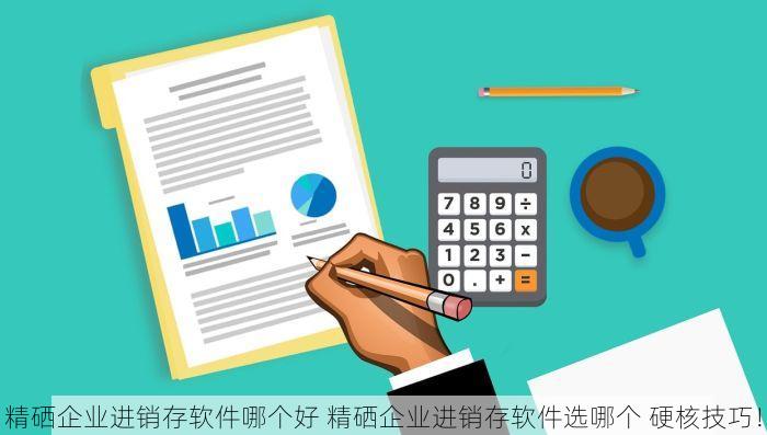 精硒企业进销存软件哪个好 精硒企业进销存软件选哪个 硬核技巧！
